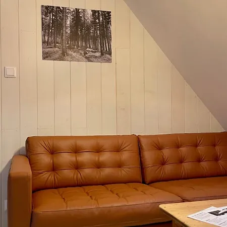 Izerina Dağ evi Horní Maxov