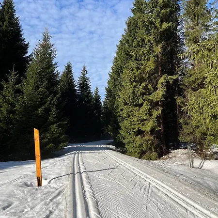 Alpesi faház Izerina