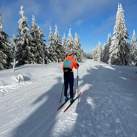Alpesi faház Izerina Horní Maxov