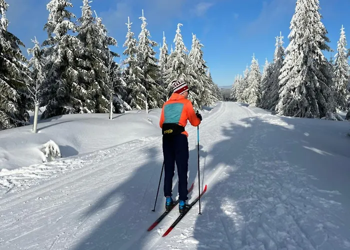 Alpehytte Izerina Horní Maxov